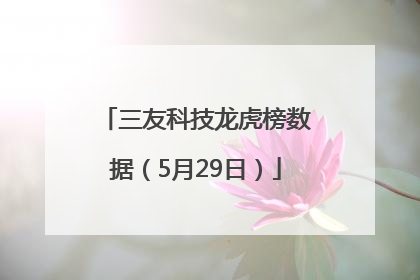 三友科技龙虎榜数据（5月29日）