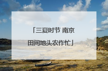 三夏时节 南京田间地头农作忙