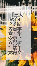 三大核心IP场景内容丰富！华安县“立兴杯”端午龙舟文化欢乐季即将举办