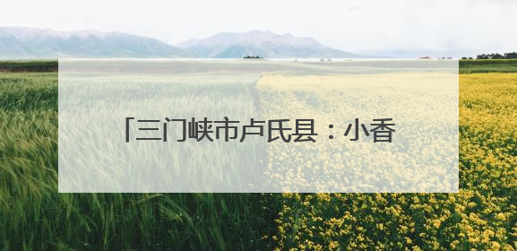 三门峡市卢氏县：小香菇“链”出国际大市场