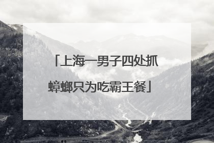 上海一男子四处抓蟑螂只为吃霸王餐