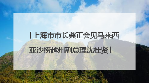 上海市市长龚正会见马来西亚沙捞越州副总理沈桂贤