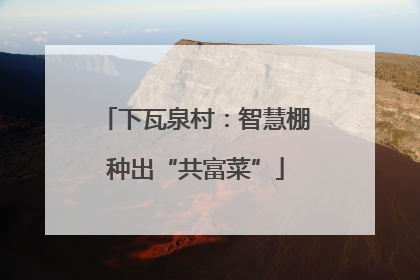 下瓦泉村：智慧棚种出“共富菜”