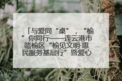 与爱同“桌”，“榆”你同行——连云港市赣榆区“榆见文明·惠民服务基层行”暨爱心书桌发放温暖启幕