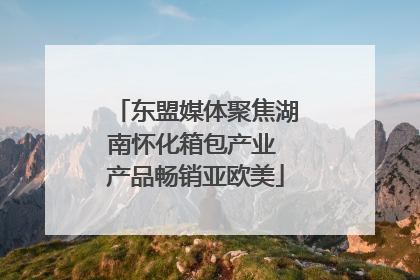 东盟媒体聚焦湖南怀化箱包产业 产品畅销亚欧美