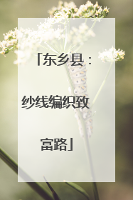 东乡县：纱线编织致富路