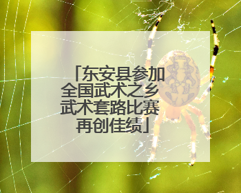 东安县参加全国武术之乡武术套路比赛 再创佳绩