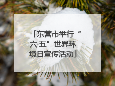 东营市举行“六·五”世界环境日宣传活动