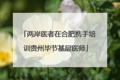 两岸医者在合肥携手培训贵州毕节基层医师