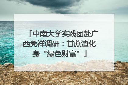 中南大学实践团赴广西凭祥调研：甘蔗渣化身“绿色财富”