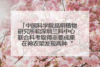 中国科学院昆明植物研究所和深圳兰科中心联合科考取得重要成果 在神农架发现两种“国保”级兰花