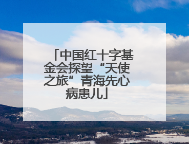 中国红十字基金会探望“天使之旅”青海先心病患儿