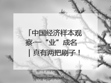 中国经济样本观察·一“业”成名|真有两把刷子!“刷”出30亿级“颜值经济”