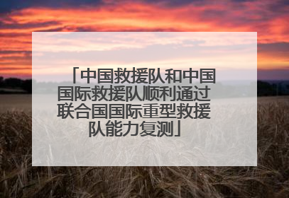 中国救援队和中国国际救援队顺利通过联合国国际重型救援队能力复测