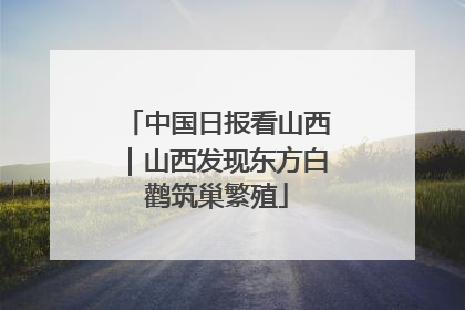 中国日报看山西｜山西发现东方白鹳筑巢繁殖