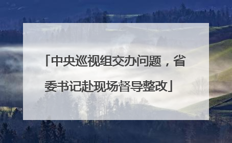 中央巡视组交办问题，省委书记赴现场督导整改