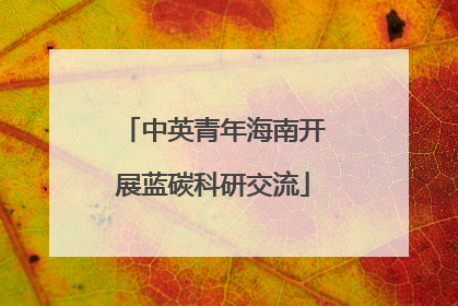 中英青年海南开展蓝碳科研交流