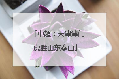 中超：天津津门虎胜山东泰山