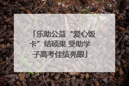乐助公益“爱心饭卡”结硕果 受助学子高考佳绩亮眼
