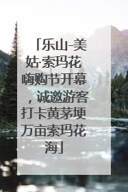 乐山-美姑·索玛花嗨购节开幕，诚邀游客打卡黄茅埂万亩索玛花海