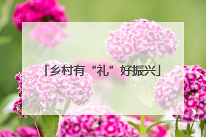 乡村有“礼”好振兴