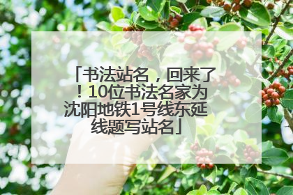 书法站名，回来了！10位书法名家为沈阳地铁1号线东延线题写站名