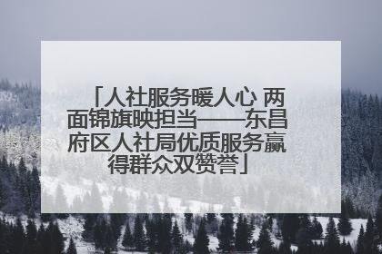 人社服务暖人心 两面锦旗映担当——东昌府区人社局优质服务赢得群众双赞誉