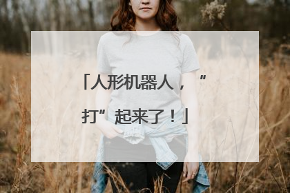 人形机器人，“打”起来了！