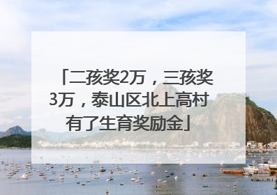 二孩奖2万，三孩奖3万，泰山区北上高村有了生育奖励金