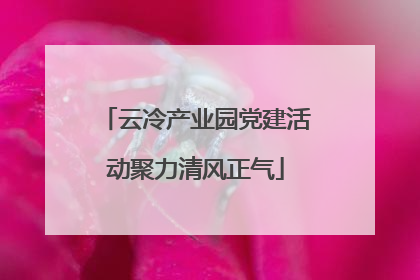 云冷产业园党建活动聚力清风正气