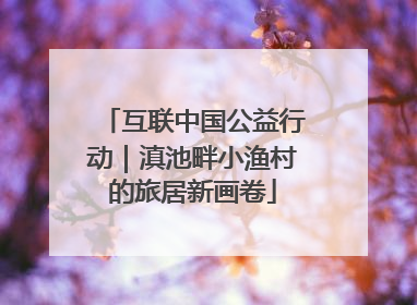 互联中国公益行动｜滇池畔小渔村的旅居新画卷