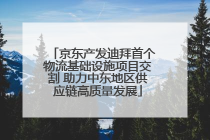 京东产发迪拜首个物流基础设施项目交割 助力中东地区供应链高质量发展