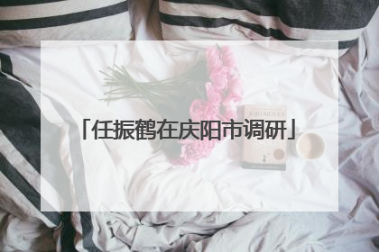 任振鹤在庆阳市调研