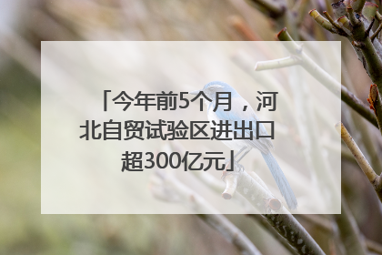 今年前5个月，河北自贸试验区进出口超300亿元
