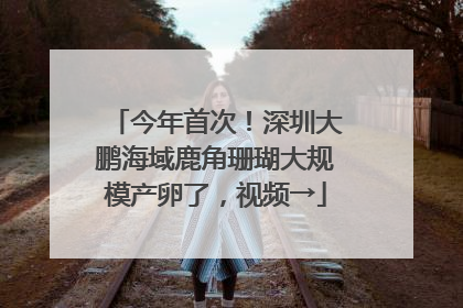 今年首次！深圳大鹏海域鹿角珊瑚大规模产卵了，视频→