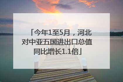 今年1至5月，河北对中亚五国进出口总值同比增长1.1倍