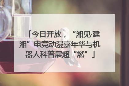 今日开放，“湘见·建湘”电竞动漫嘉年华与机器人科普展超“燃”
