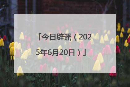 今日辟谣（2025年6月20日）