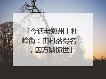 今话老郑州丨杜岭街：由村落得名，因方鼎惊世