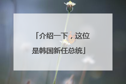 介绍一下，这位是韩国新任总统