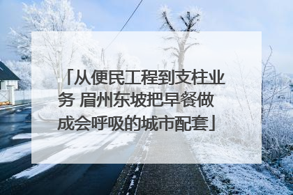 从便民工程到支柱业务 眉州东坡把早餐做成会呼吸的城市配套