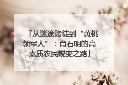 从迷途赌徒到“黄桃领军人”：肖石明的高素质农民蜕变之路