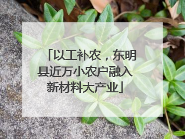 以工补农，东明县近万小农户融入新材料大产业