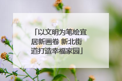 以文明为笔绘宜居新画卷 新北街道打造幸福家园
