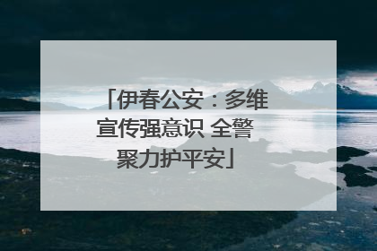 伊春公安：多维宣传强意识 全警聚力护平安