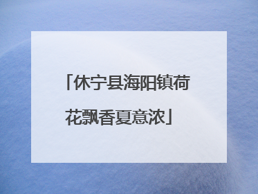 休宁县海阳镇荷花飘香夏意浓