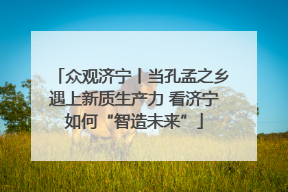 众观济宁丨当孔孟之乡遇上新质生产力 看济宁如何“智造未来”