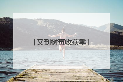 又到树莓收获季