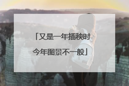 又是一年插秧时 今年图景不一般