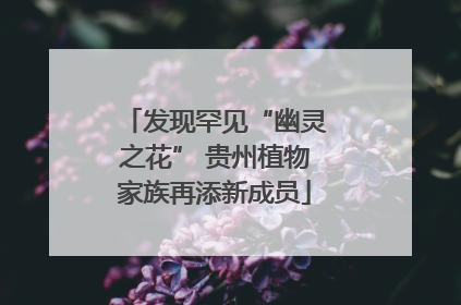 发现罕见“幽灵之花” 贵州植物家族再添新成员